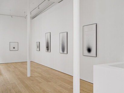 Dove Allouche, Chnops, exhibition view. Courtesy of Peter Freeman, Inc.