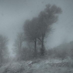 Todd Hido. Courtesy of Galerie Les Filles du Calvaire