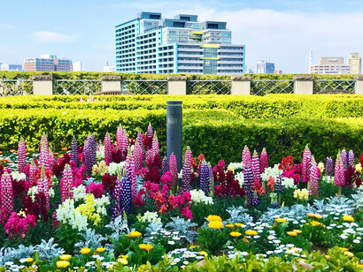 The panoramic views at the Yamate Italian Garden in Yokohama, Japan, blend history with modernity © Alma Reyes
