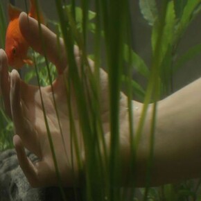 Leah Capaldi, Surveillance, 2014, video still