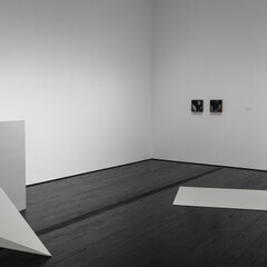 Contemporary Focus: Leslie Hewitt. Courtesy of Menil