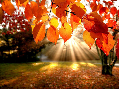 Raggi di sole
