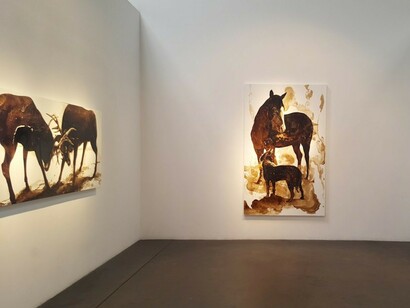 James Griffith, Exhibition view. Courtesy of Craig Krull Gallery
