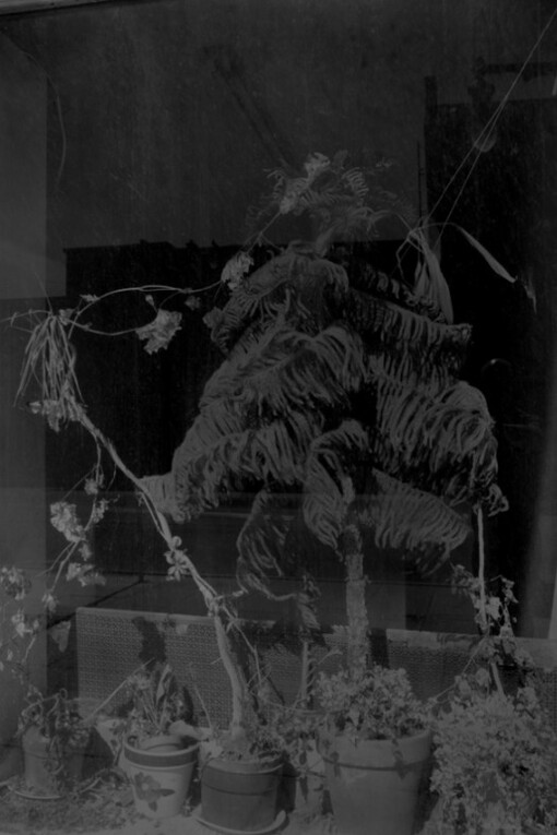 Sonder. Courtesy of Casemore Kirkeby