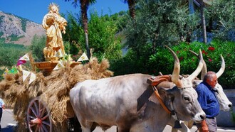 In copertina una foto della processione di san Rocco che tenutasi durante l'edizione del 2009 della Festa del Grano a Foglianise (BN), Italia