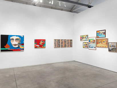 Paul Insect, Broken vision, exhibition view. Courtesy of Underdogs