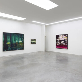 Mads Bryld, Forrest of marks, exhibition view. Courtesy of V1 Gallery
