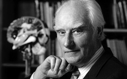 Francis Crick stellte das zentrale Dogma der Molekularbiologie auf: Informationen fließen von der DNA zur RNA und weiter zu den Proteinen, die die Maschinerie des Lebens bilden. Bild: Francis Crick in seinem Büro. Aufnahme um 2004