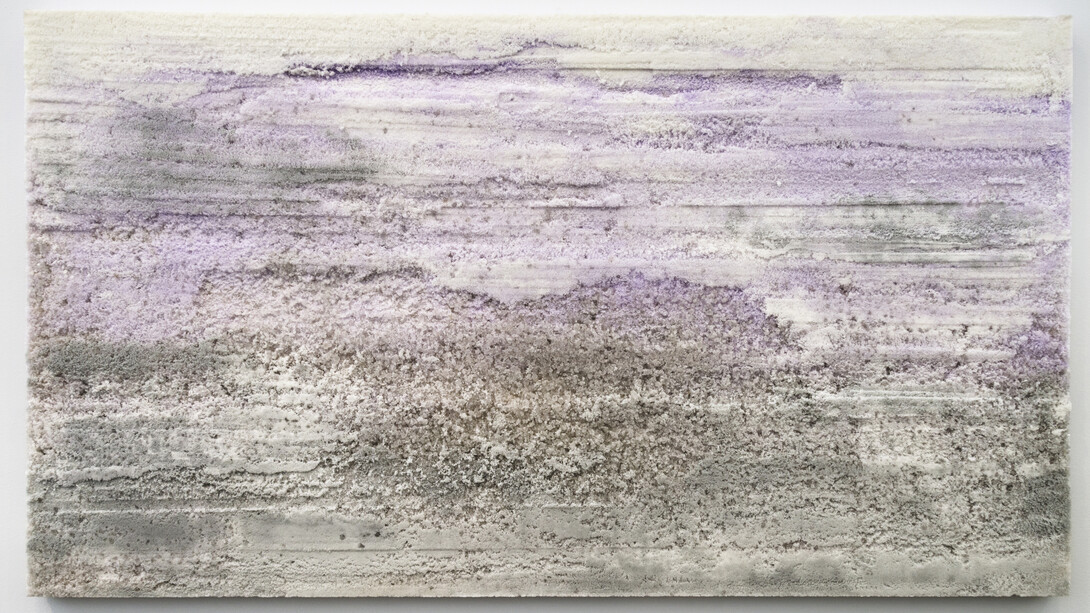 Fernando Mastrangelo, My World Is Wishing Me Asleep, 2015, Salt, 48 x 84 inches (121.9 x 213.4 cm). Courtesy Mike Weiss Gallery, New York