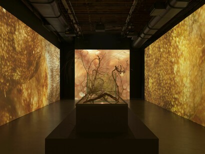 Tuomas A. Laitinen, Siphon, exhibition view. Courtesy of Pioneer Works