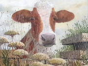 Alan Parry, Hole in the Wall, Acrylic on Board, signed, 52 x 45 cm