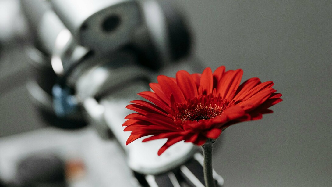 Máquina oferece uma flor. No tempo presente, a sofisticação e o avanço da inteligência artificial, replica com um grande esmero, as funções cognitivas humanas