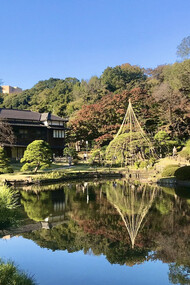 Higo Hosokawa Garden © Alma Reyes