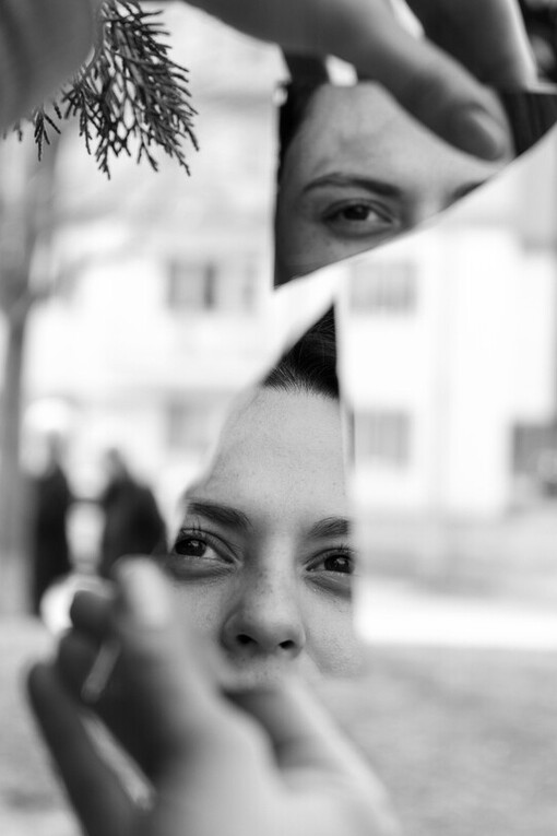 De tu árbol caído hiciste el puente con el que cruzo el río, subo las marejadas y me siento un poco mucho más yo