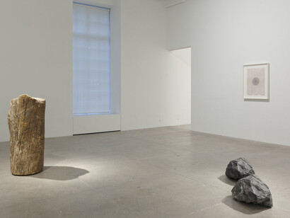 Giuseppe Penone. Courtesy of Marian Goodman Gallery