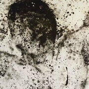 Stare, Ferle. Courtesy of Z Gallery Arts