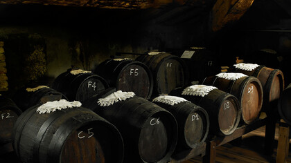 Gran Deposito Aceto Balsamico di Giuseppe Giusti
