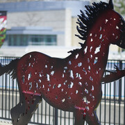 Running Horses. Courtesy of National Gallery of Canada
