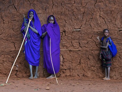 Evolutionary biology is the history of all living creatures