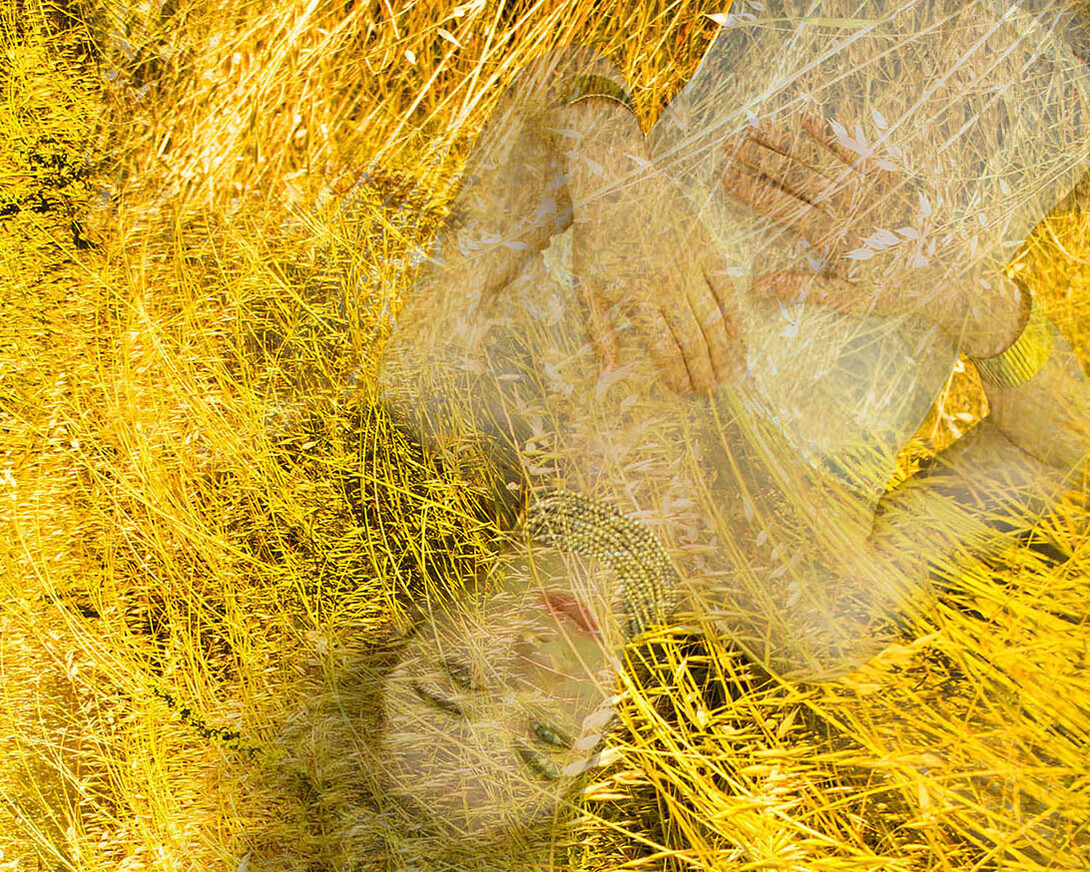 Francesca Manetta, Giardini Allegorici, Cap.III: Sol Stat, dettaglio dell'installazione, 2017, stampa fine art giclée su carta Hanhemuhle