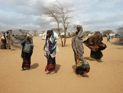 Los últimos informes emitidos por la FAO durante finales del pasado y fatídico 2020 contienen manifestaciones que solo podemos calificar de terribles