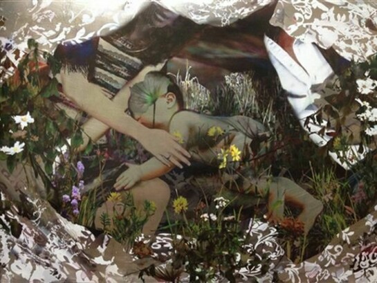Noriko Kinouchi, Dazzled Family, Inkjet Print on Aluminum, 24" x 36" x 2"
