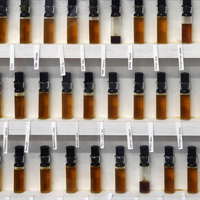 LoveJordan. Courtesy of Woolff Gallery