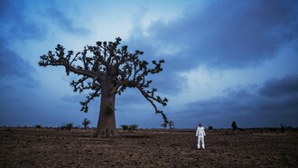Um homem vestido de branco está diante de um imponente baobá, cuja copa se destaca sob o céu azul de uma vasta paisagem africana. Na fotografia *História do Futuro — Baobá: o capítulo da agromancia* (2015), de Ayrson Heráclito, a árvore evoca a ancestralidade, a memória e a continuidade da vida. A amplitude da paisagem e sua atmosfera contemplativa também convidam a uma aproximação simbólica com o Orum, o domínio espiritual da tradição iorubá, e com os laços que conectam o mundo terreno ao sagrado. Uma imagem que dialoga com este relato íntimo sobre o Candomblé, os ensinamentos de uma mãe de santo e a presença daqueles que, mesmo após a partida, continuam a habitar nossas lembranças e nosso espírito