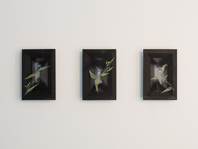 Joeun Kim Aatchim, Virgin thoughts, vista de exhibición. Cortesía de Travesía Cuatro