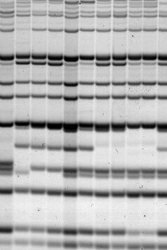 Representación tradicional de una secuencia de ADN