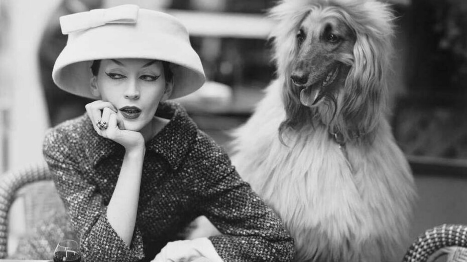 Richard Avedon - "Dovima en chapeau cloche, Café des Deux Magots, Paris" - 1955 