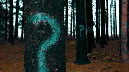 Senderos en el bosque, la piedad de la pregunta