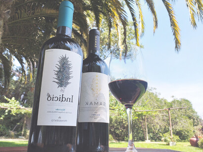 Malbec & Mouvedre, dos de las nueve variedades de vinos Primavento, viñedo ubicado en Valle de Elqui, Chile