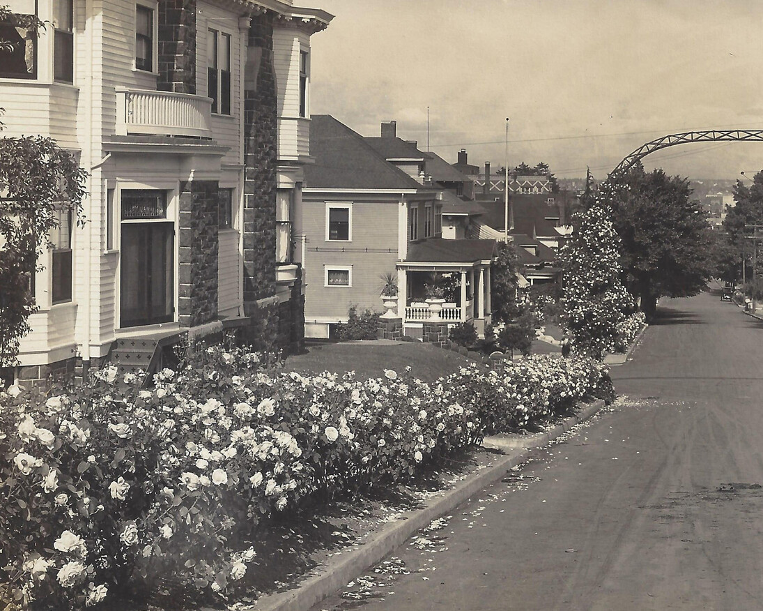 Madame Caroline Testout. Courtesy of Oregon Historical Society