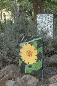 Anna Ridler, Circadian Bloom, 2021, installation of real-time GAN-generated imagery. "You and AI" exhibition © Studio On – Stelios Tzetzias, for Onassis Stegi