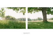 Tempus Fugit. Courtesy of Galería Cayón