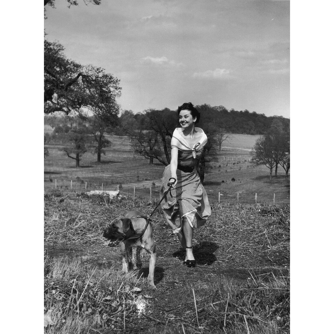 Unpublished photograph of Audrey Hepburn in Richmond Park by Bert Hardy, 30 April 1950 © Bert Hardy/Getty Images