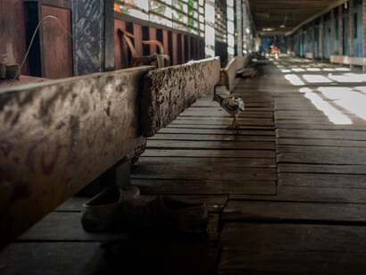 Longhouse Dayak del Kalimantan Timur - Foto di Riccardo Gallino