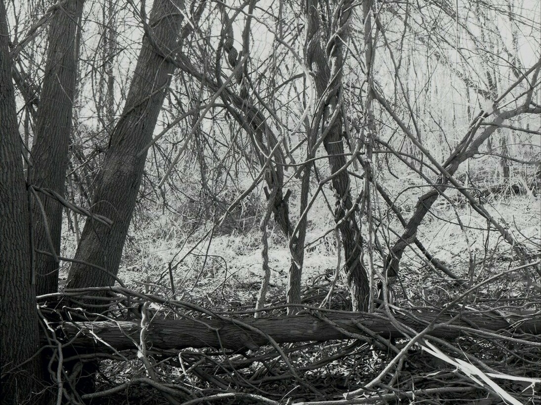 Lawrence Beck, exhibition view. Courtesy of ART 3 gallery