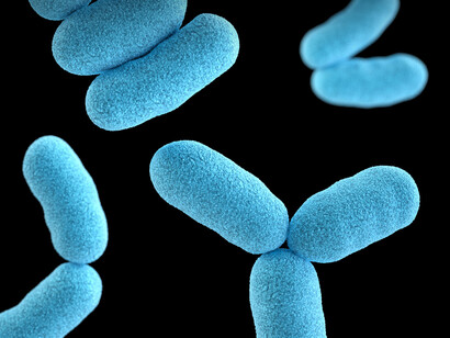 Humans are a unique reservoir of a variety of microorganisms