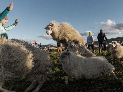 The sorting process takes hours 