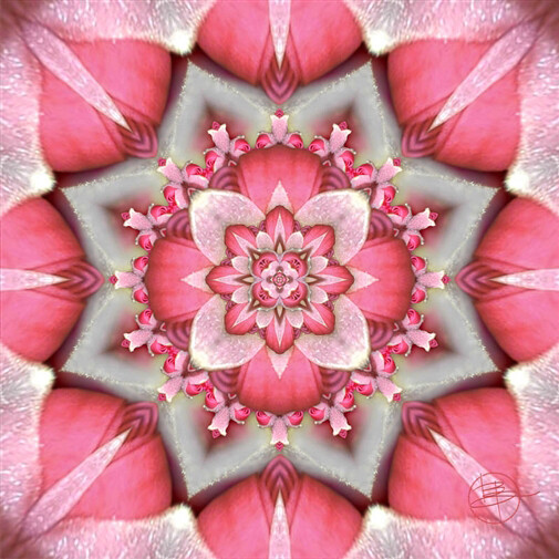 Karen Hochman Brown, Love in the Fringes, Digital Painting on Aluminum, 20" x 20"