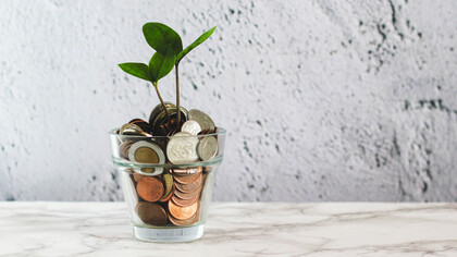 The World Bank and the International Monetary Fund continue to argue for sustainable growth