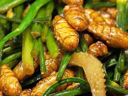 Gusanos de seda, India