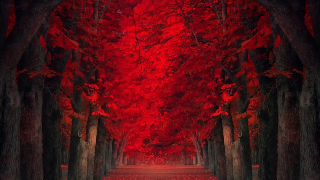 I colori dell'autunno