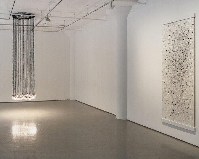 Remains. Courtesy of Fergus McCaffrey Gallery 