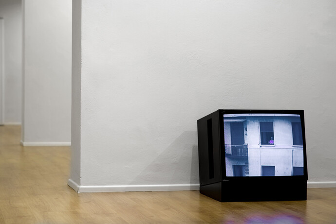 Alessandra Spranzi, Vendesi, serie del 2007, foto a colori montata su alluminio, courtesy galleria P420 Bologna