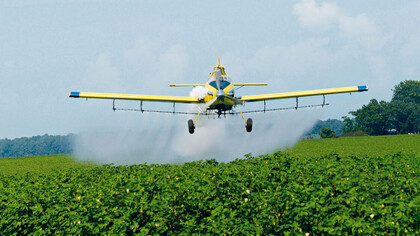 La producción agrícola intensiva de soja transgénica ha generado una gran concentración de la tierra en pocas manos y en un corto período de tiempo
