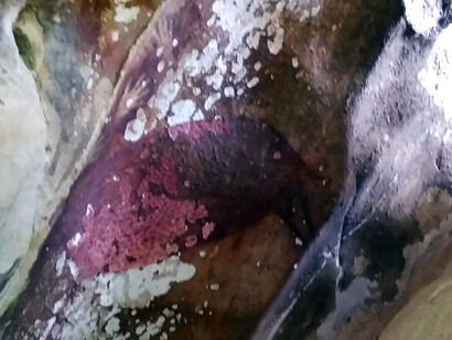 Pintura de cerdo y ciervo en la cueva Pettakere, Maros, Sulawesi del Sur. Se estima que esta pintura prehistórica tiene alrededor de 50.000 años, Indonesia
