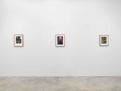 Jessie Makinson, A skeleton to share, exhibition view. Courtesy of Lyles & King
